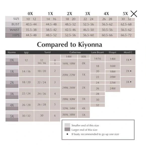 Kiyonna Nocturnal Navy Maxi Screen Siren Lace Formal Evening Gown Size 2X(18-20) - Picture 15 of 16